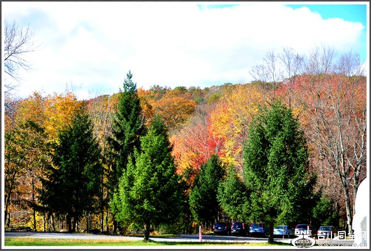 DSC_7001.JPG