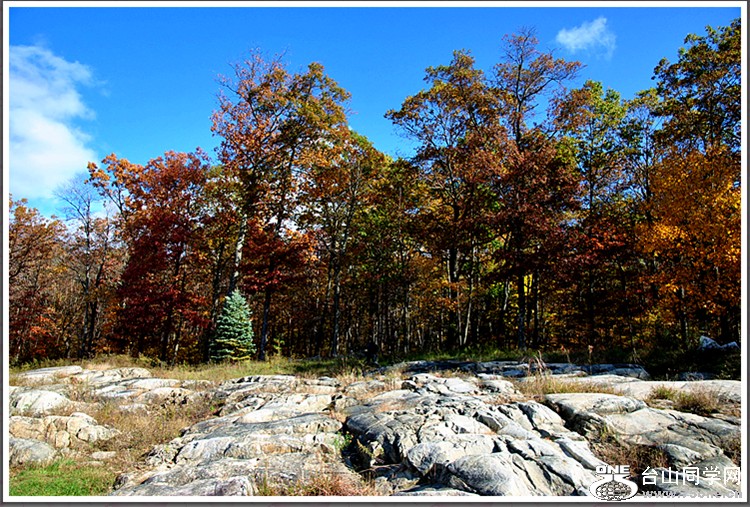 DSC_7000.JPG