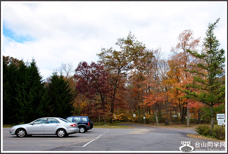 DSC_7824.JPG
