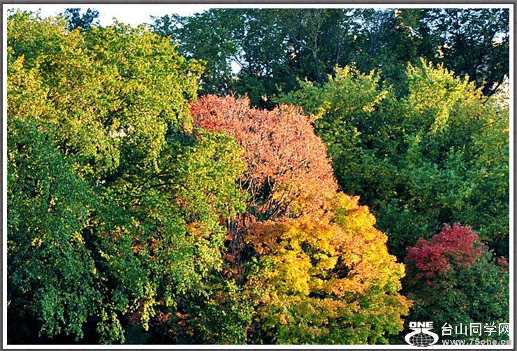 DSC_5808.JPG