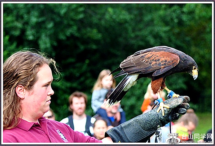 dsc_3051a.jpg