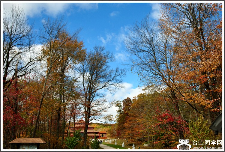 DSC_7861.JPG