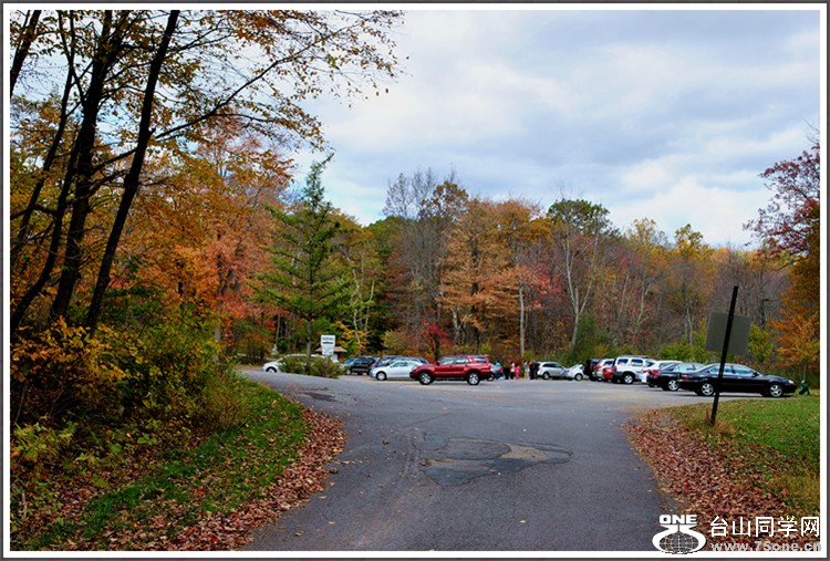 DSC_7819.JPG