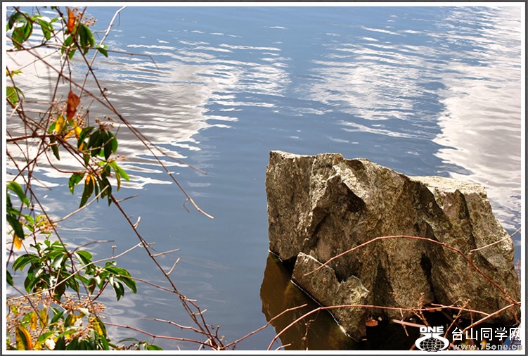 dsc_7564.jpg