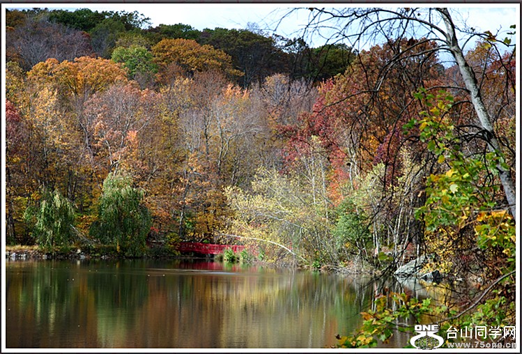 DSC_7805.JPG