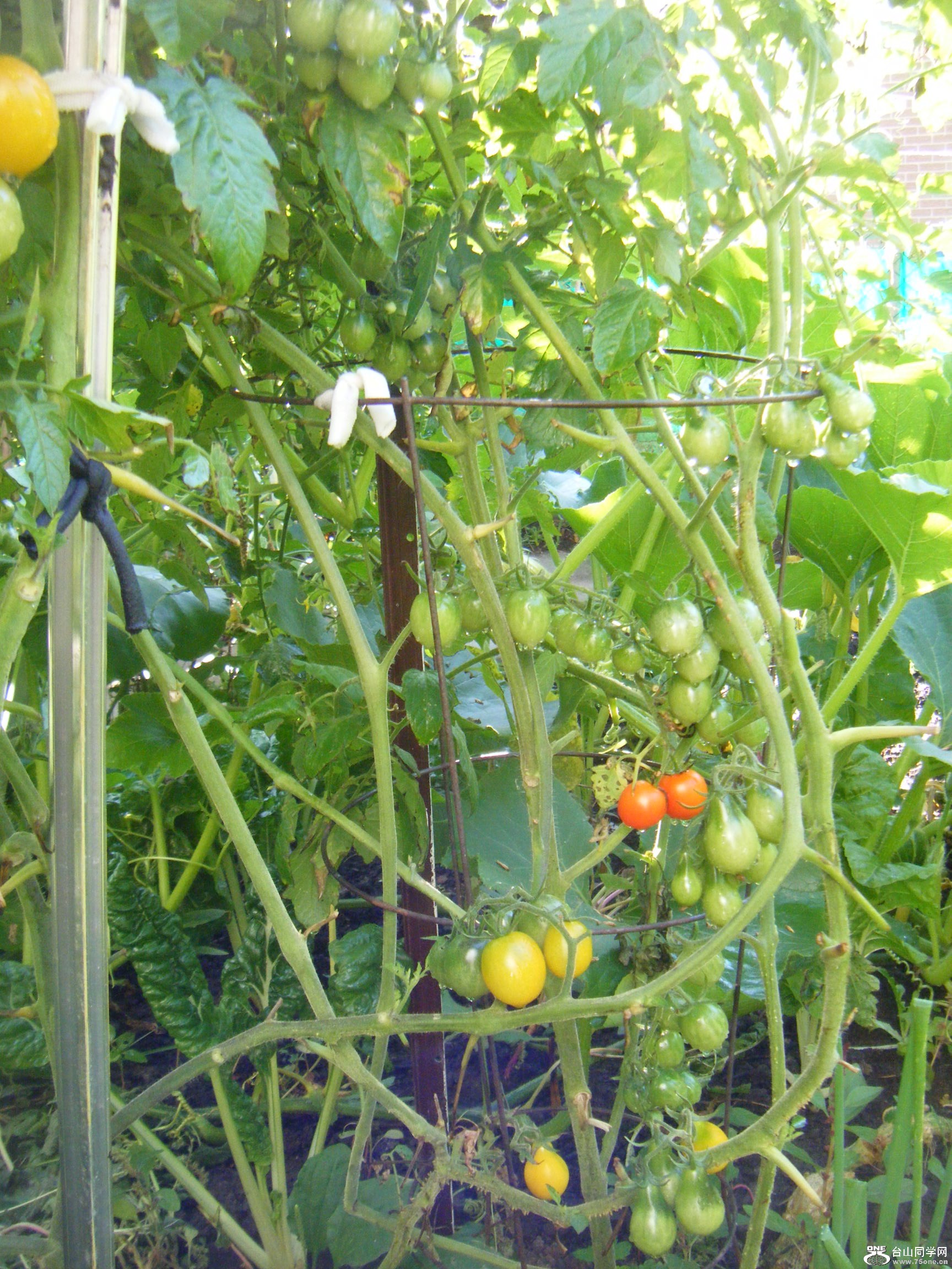 @2011-9-26 035.JPG