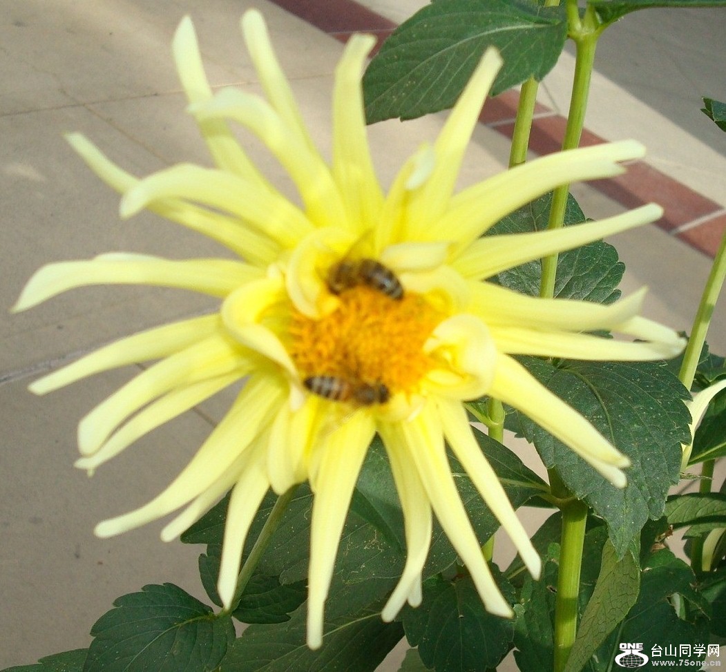 DSC09979-1.jpg