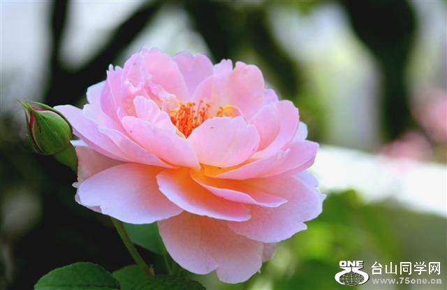 IMG_06866 (Small).jpg