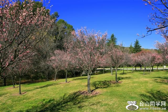 IMG_02644 (Small).jpg