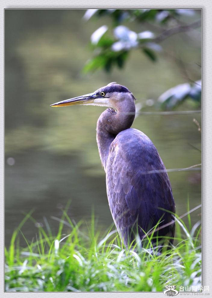 �}�u -�Q--2011 091ccc.jpg