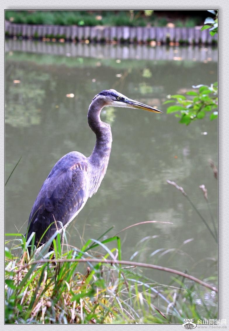 �}�u -�Q--2011 015ccc.jpg