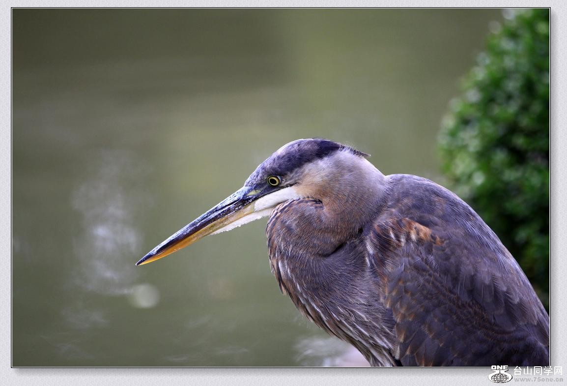 �}�u -�Q--2011 207ccc.jpg