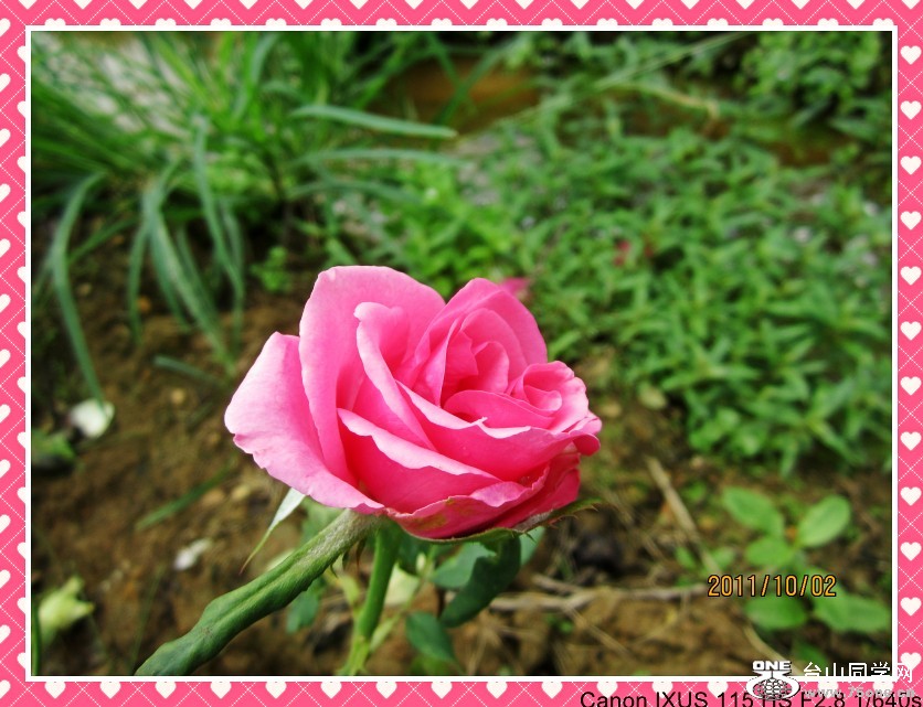 õ�塢�㺣 070_conew1.jpg