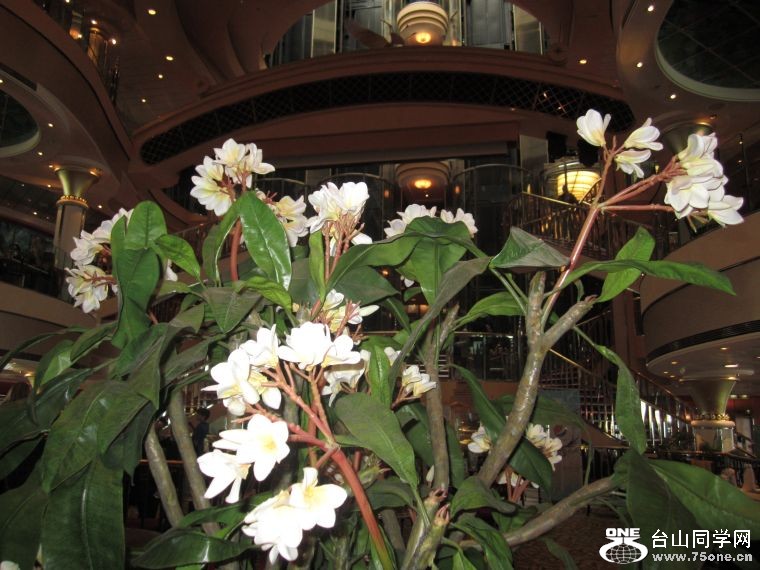 cruise,vancouva,seattle&nbsp;&nbsp;2011-7-30 174.jpg