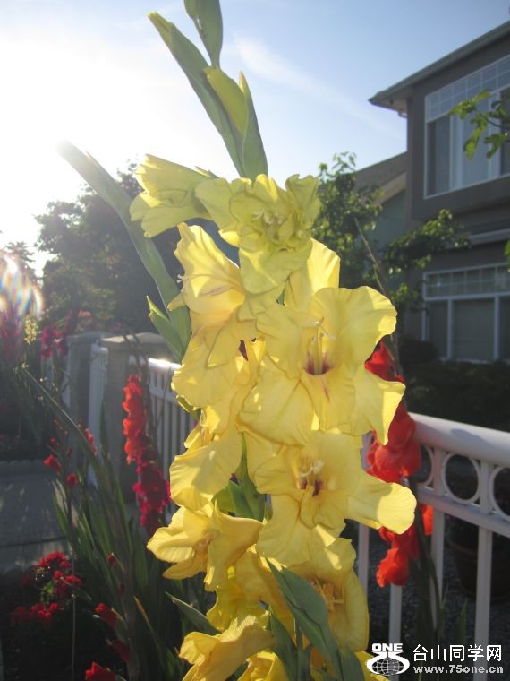 cruise,vancouva,seattle&nbsp;&nbsp;2011-7-30 1202.jpg