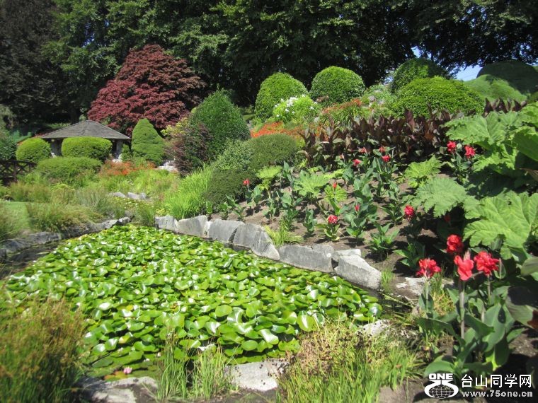 cruise,vancouva,seattle&nbsp;&nbsp;2011-7-30 1154.jpg