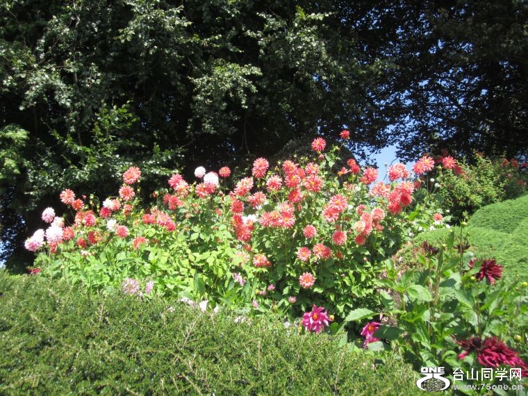 cruise,vancouva,seattle&nbsp;&nbsp;2011-7-30 1165.jpg