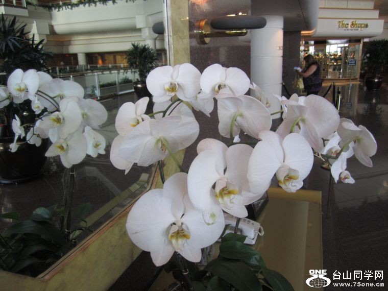 cruise,vancouva,seattle&nbsp;&nbsp;2011-7-30 1021.jpg