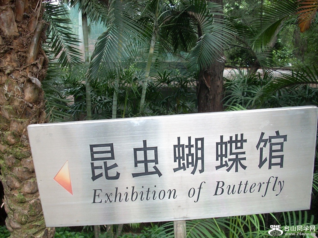DSCN3749.JPG