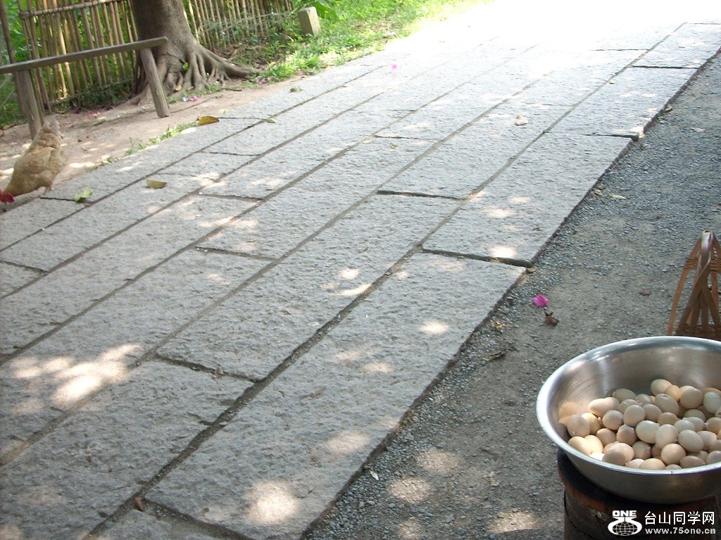 DSCN3862.JPG