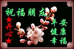 17_4288_f48e4a9910a4821__.jpg