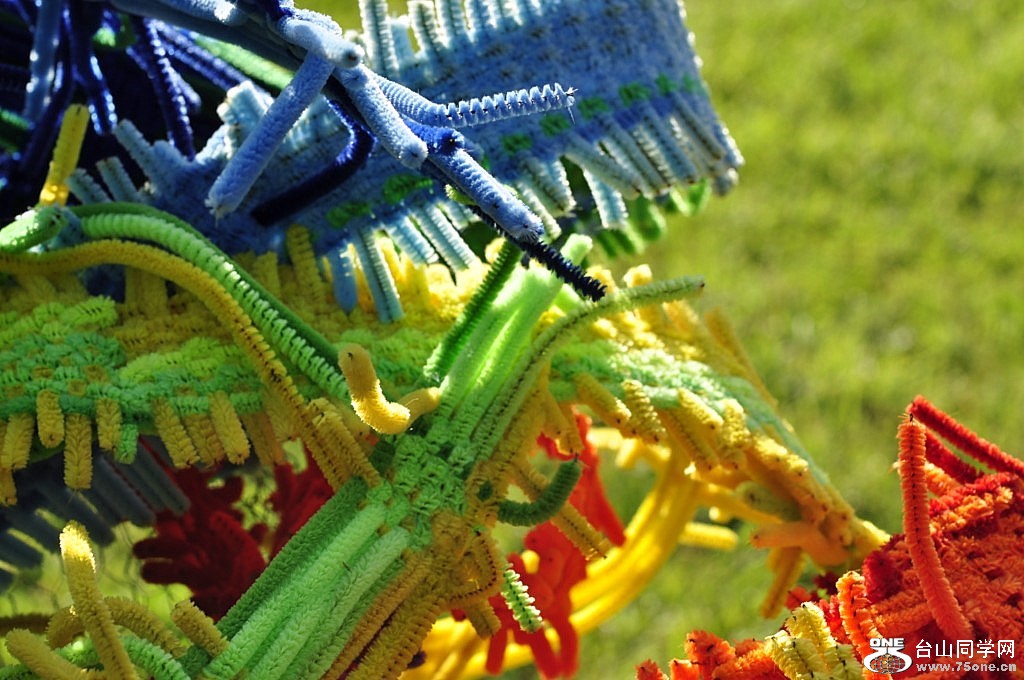 _DSC0278 [1024x768] (2).JPG