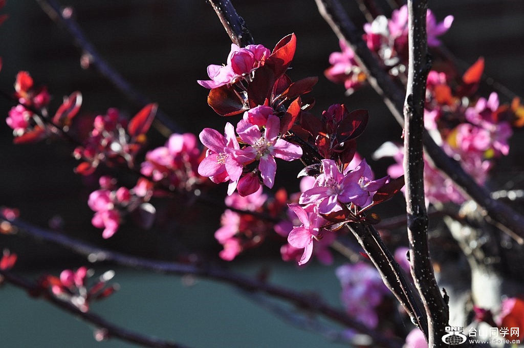 _DSC0033 [1024x768] (2).JPG