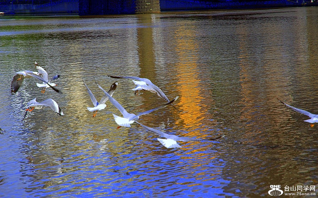 _DSC0104.NEF [1024x768].jpg