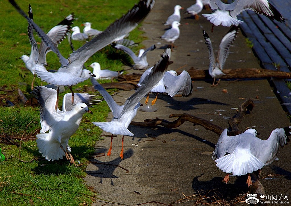 _DSC0102.NEF [1024x768].jpg