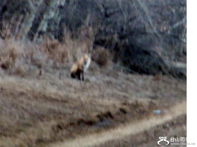 DSCF7853=.jpg