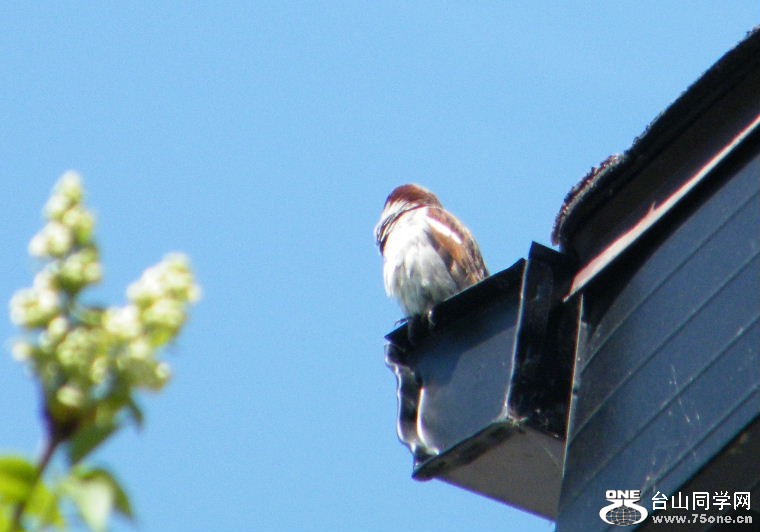 DSCF9259.JPG