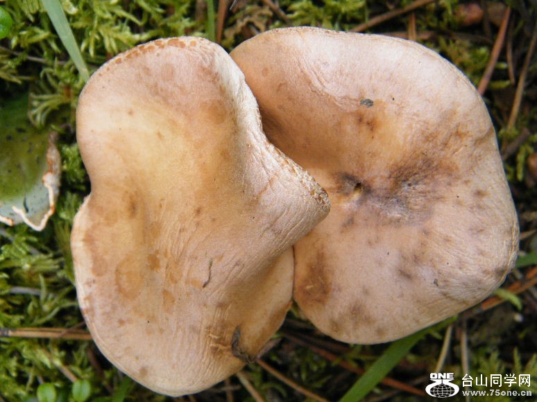 DSCF5831.JPG