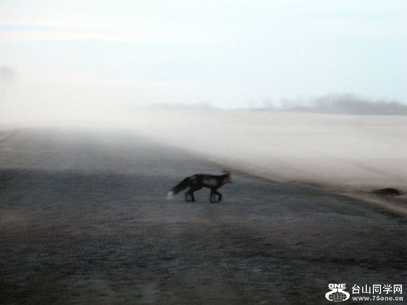 DSCF7855=.jpg