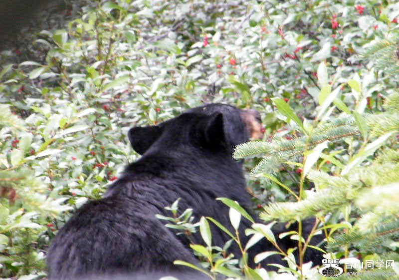 DSCF5966.JPG