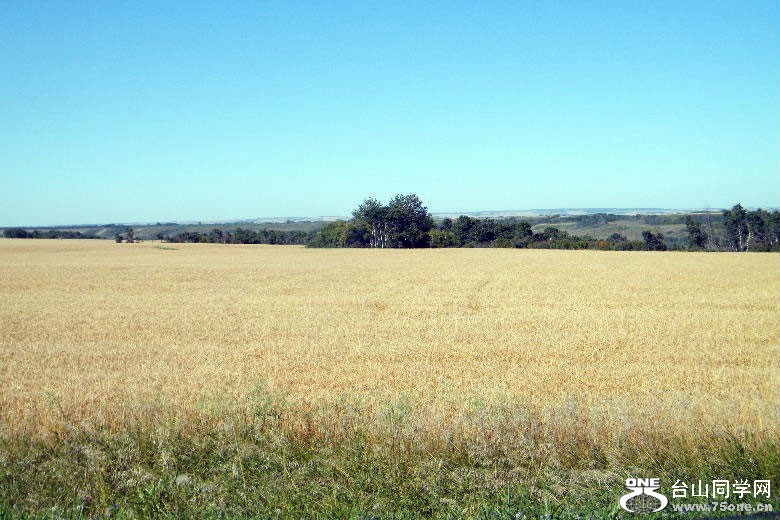 DSCF8279.JPG