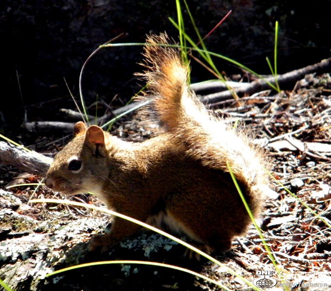 DSCF6408=.jpg