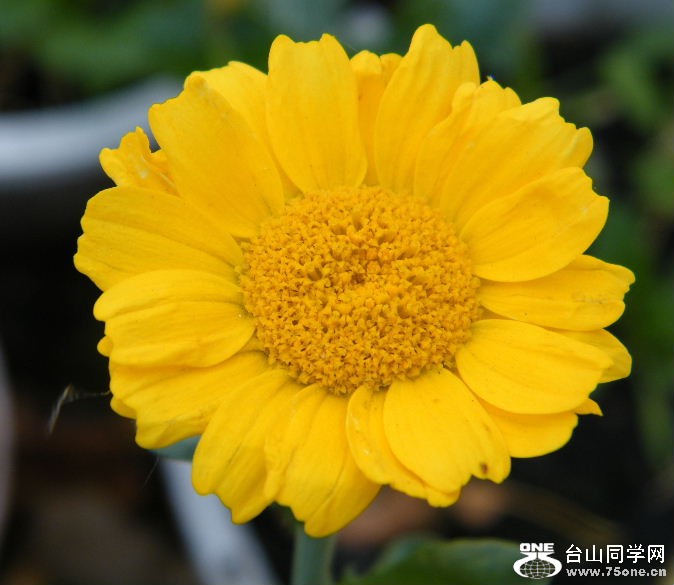 DSCF8649.JPG