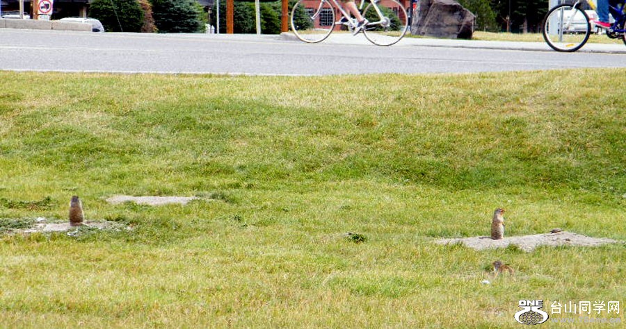 DSCF3209.JPG