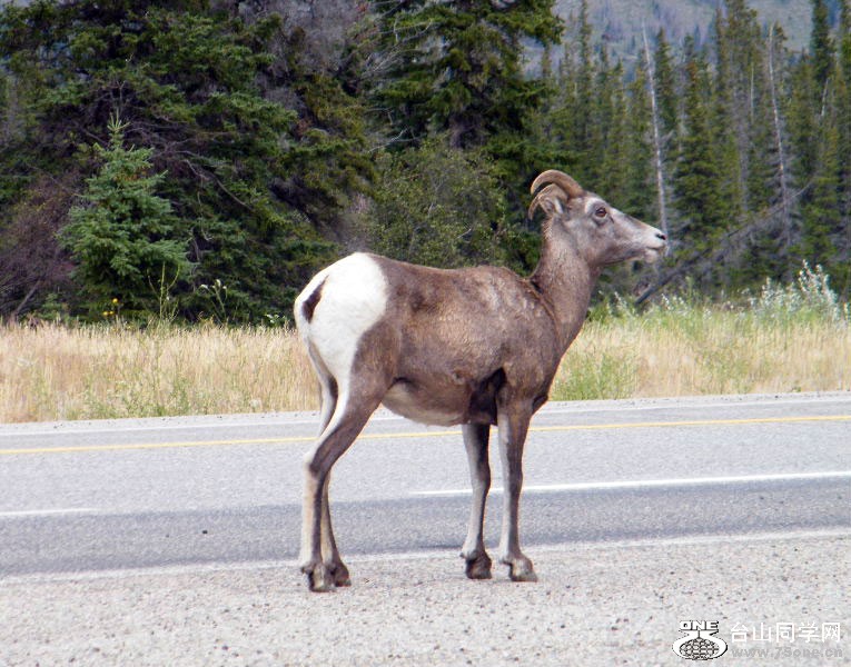 DSCF6459.JPG