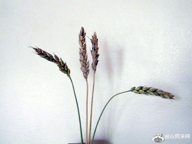 DSCF7615=.jpg