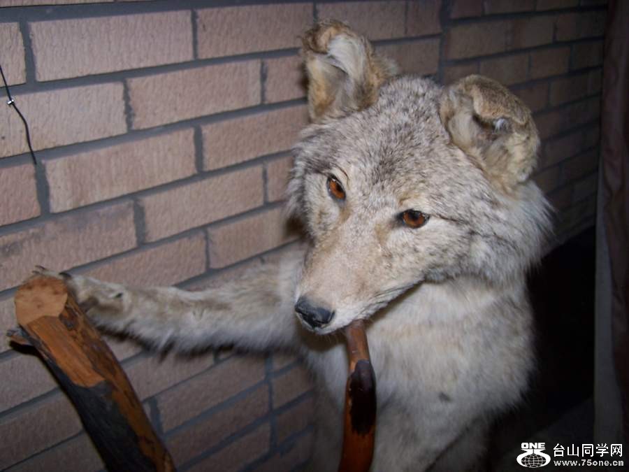 2010 1094.jpg