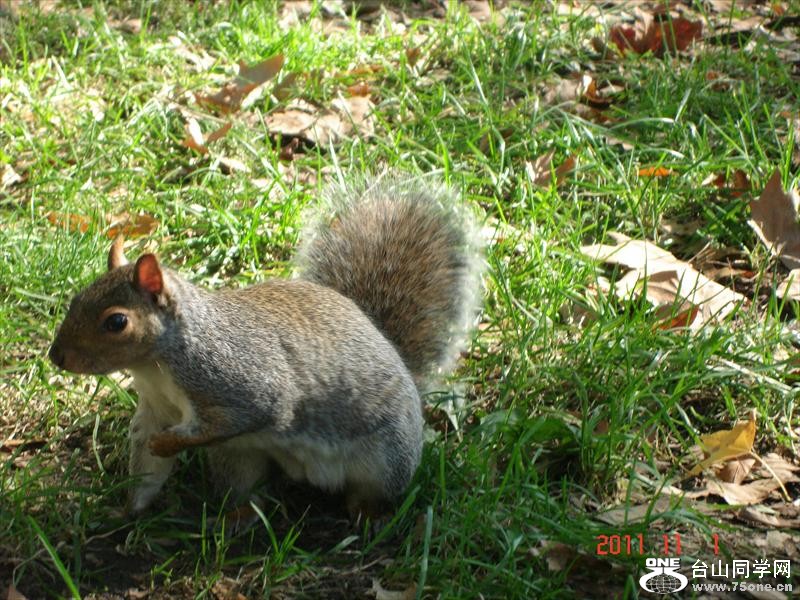 DSC02469.JPG