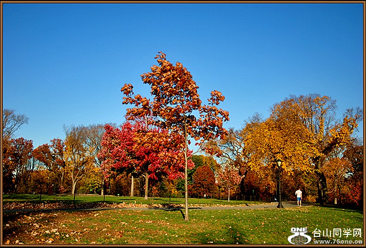 DSC_0298.JPG