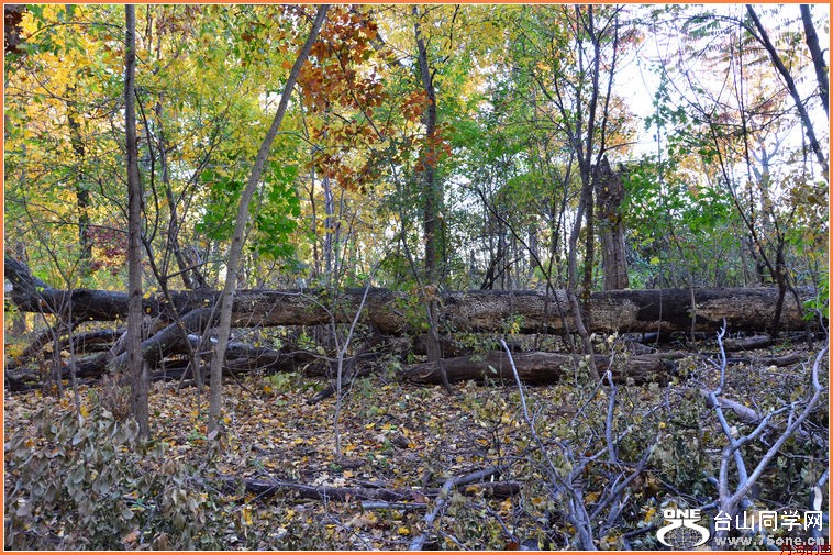 DSC_2270.JPG