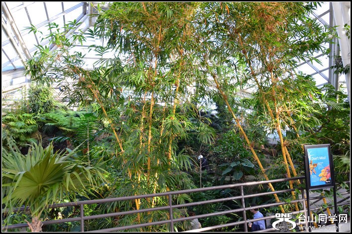 DSC_2664.JPG