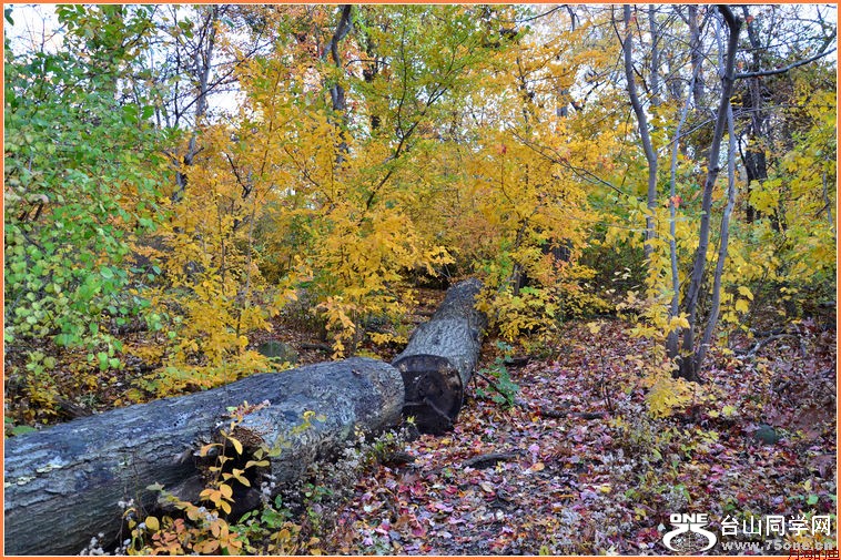 DSC_2282.JPG