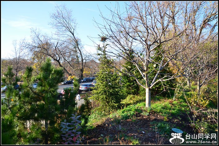 DSC_2617.JPG