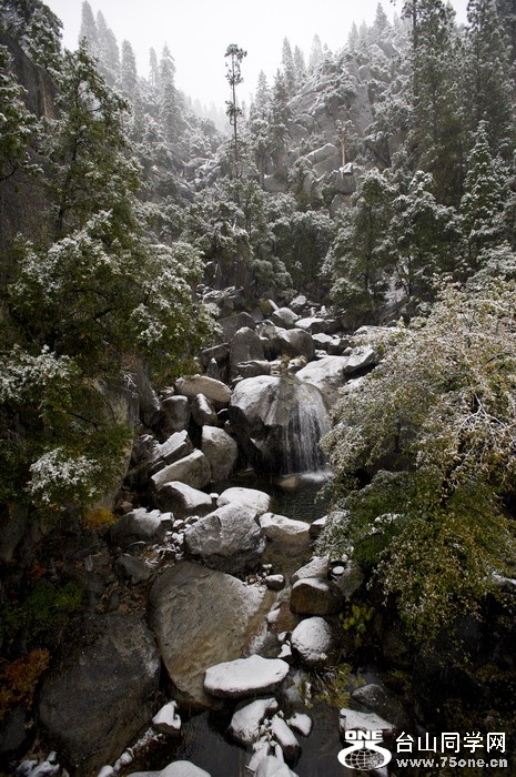 DSC_1133.jpg