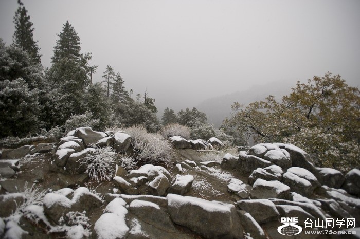 DSC_1048.jpg