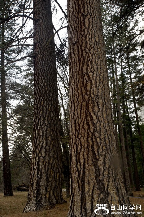 DSC_1395.jpg